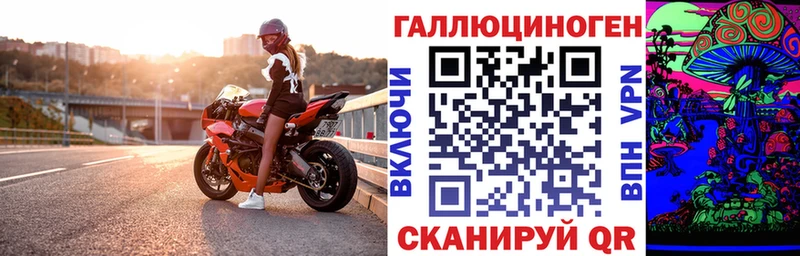 Купить Лабинск Псилоцибиновые грибы мицелий